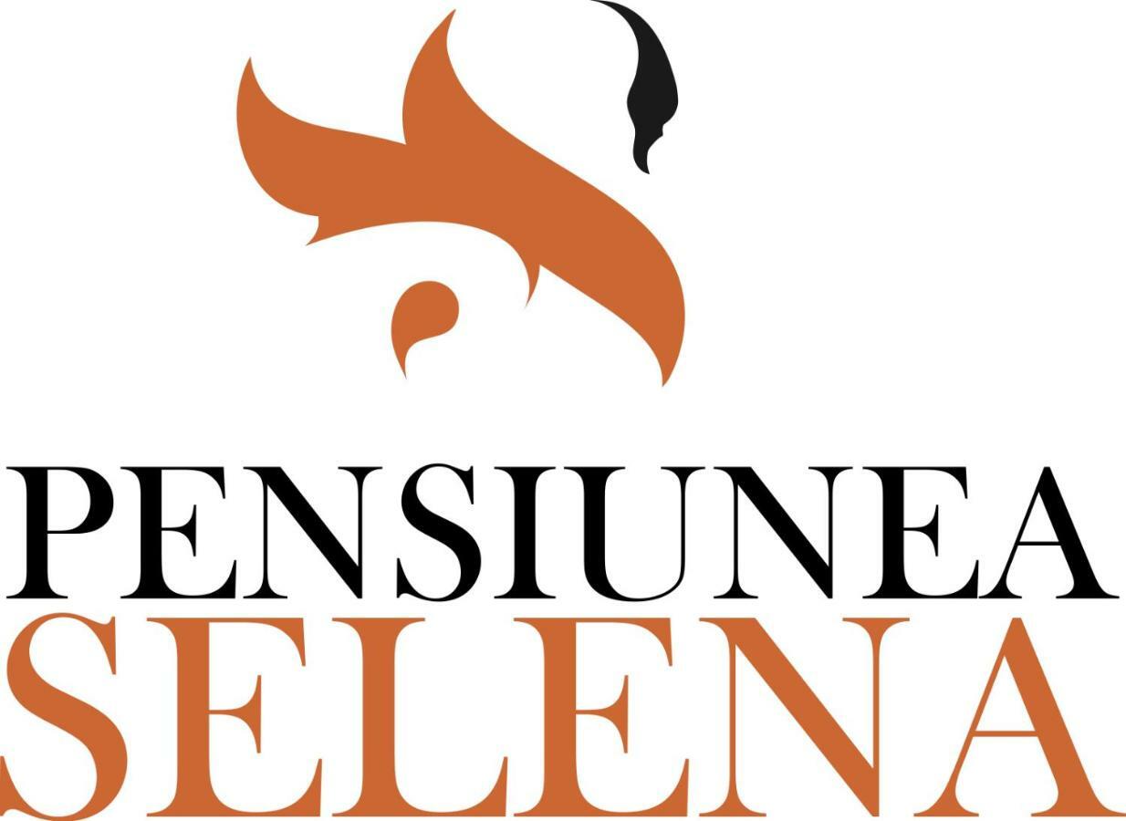 Pensiunea Selena Vişeu de Sus Εξωτερικό φωτογραφία